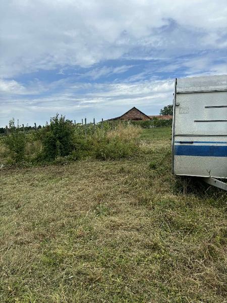 -1053138065034465798